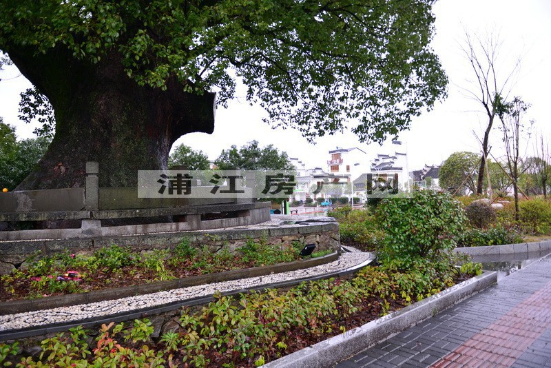 實景圖
