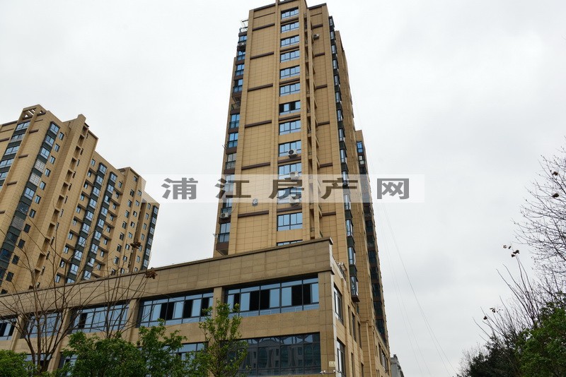 實景圖
