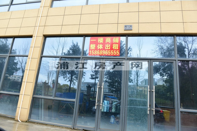 實景圖