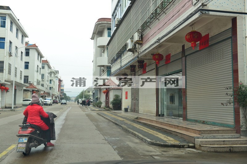 實(shí)景圖