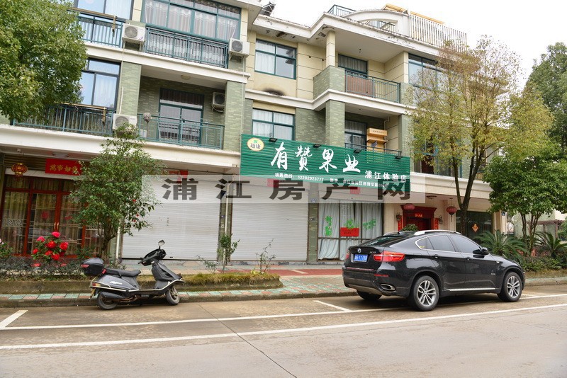實(shí)景圖