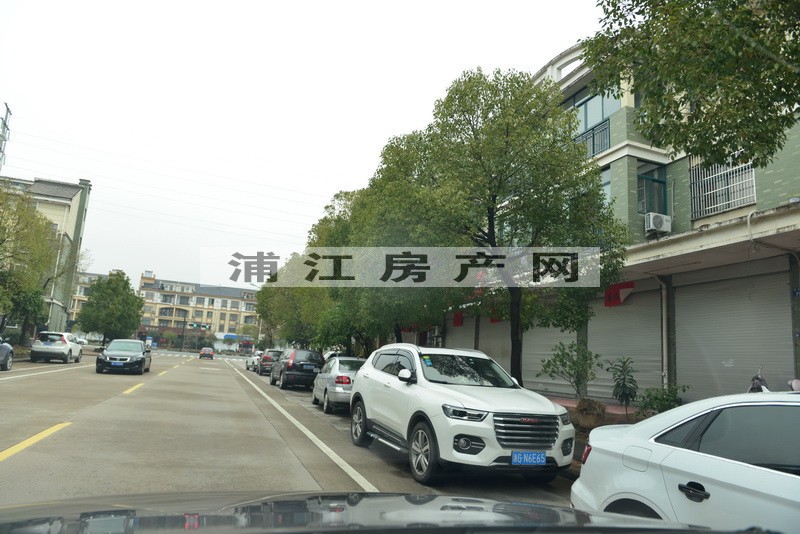 實(shí)景圖