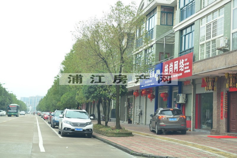 實(shí)景圖