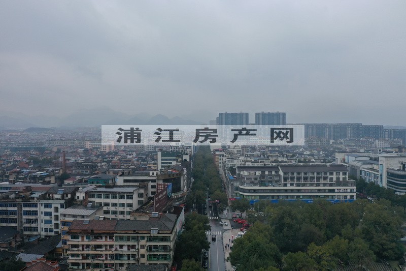 實景圖