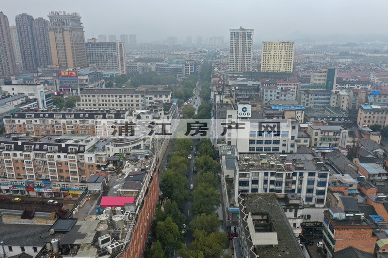 實景圖
