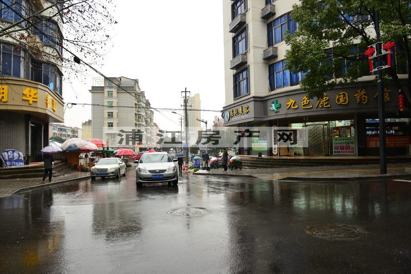 實景圖