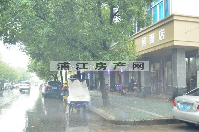 實景圖