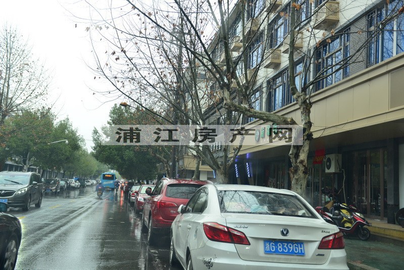 實景圖