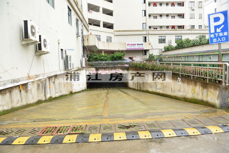 實(shí)景圖