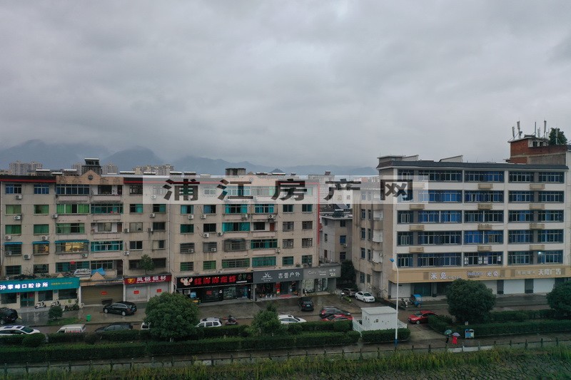 實(shí)景圖