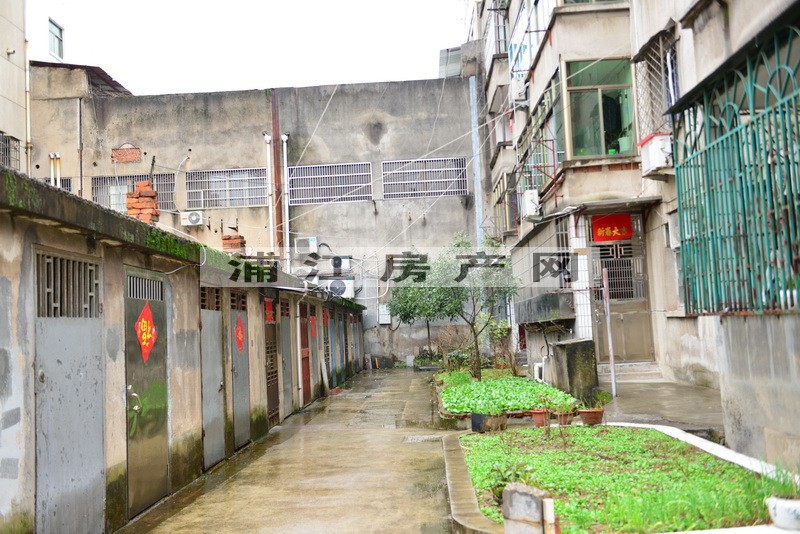 實景圖