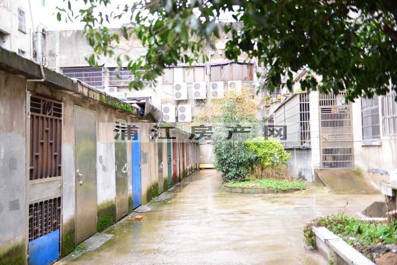 實景圖
