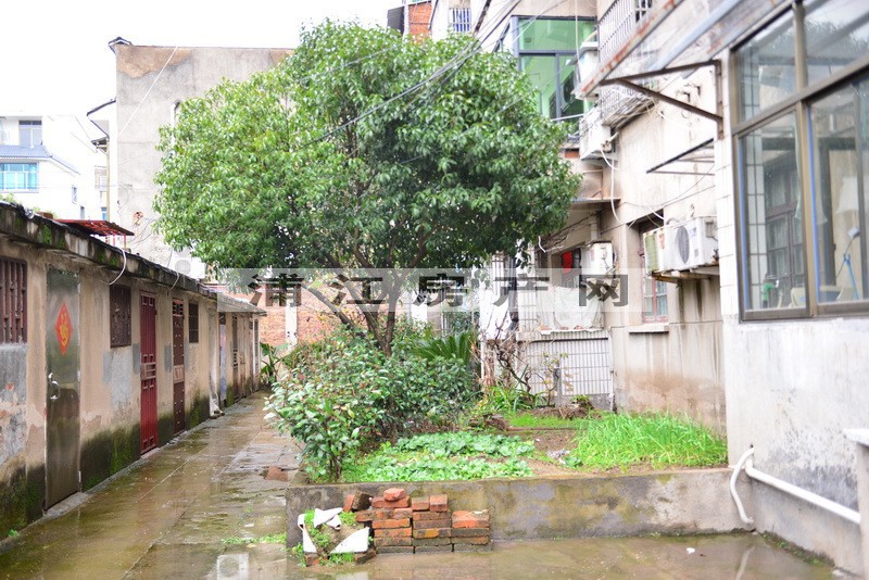 實景圖