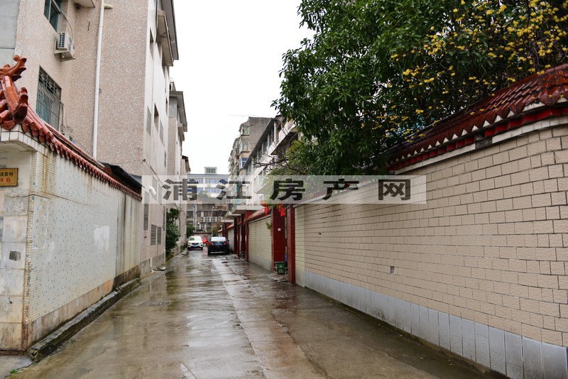 實景圖