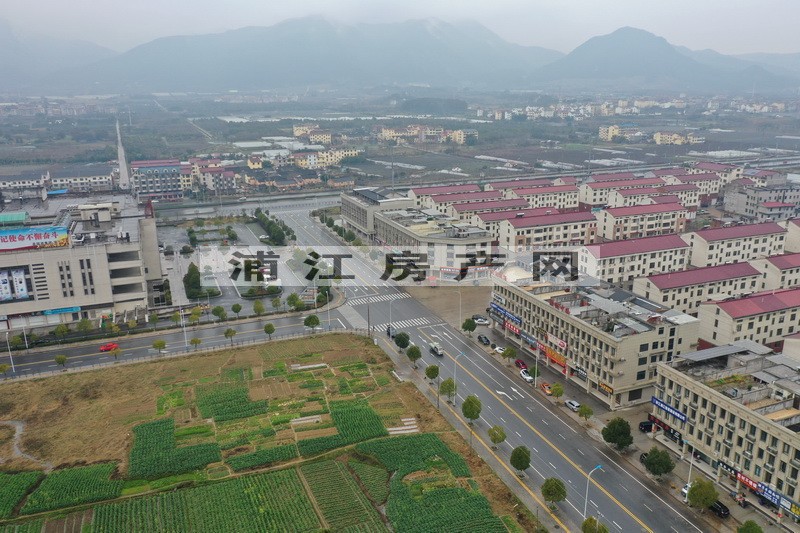實(shí)景圖
