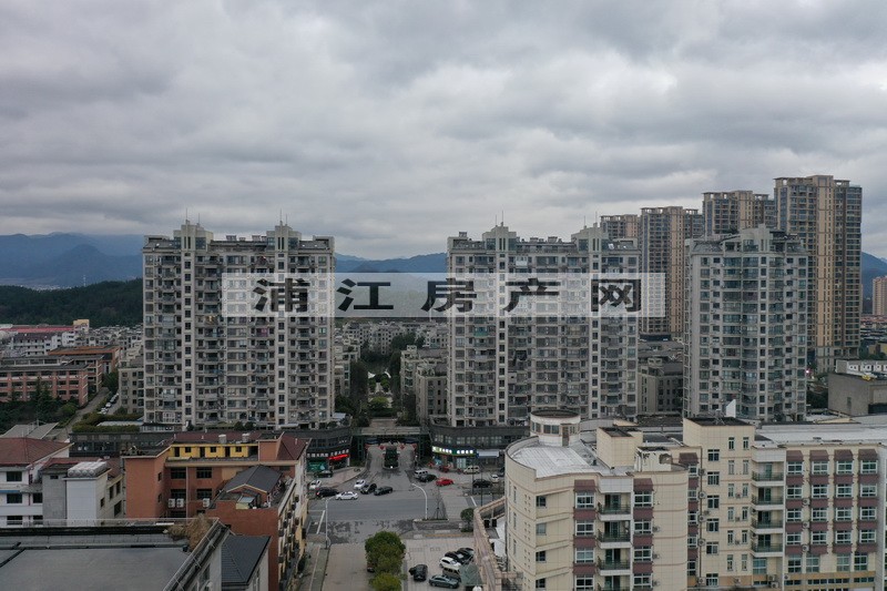 實景圖