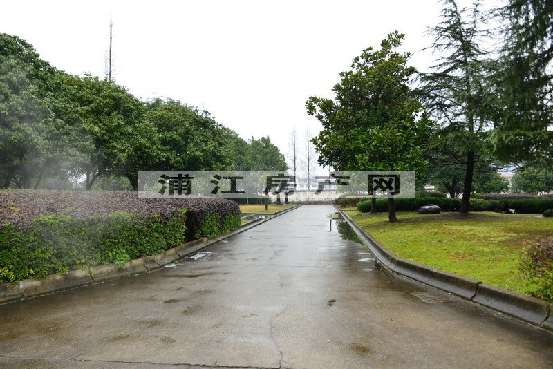 實景圖