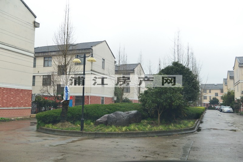 實景圖