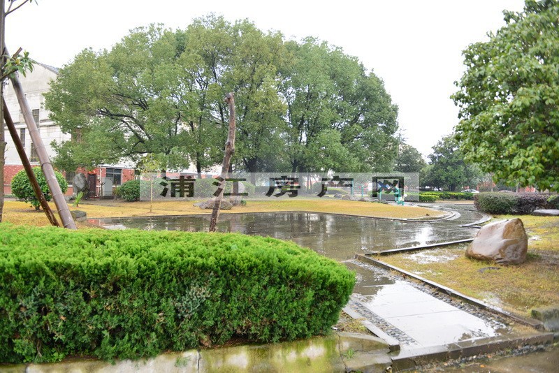 實景圖