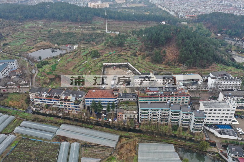 實景圖