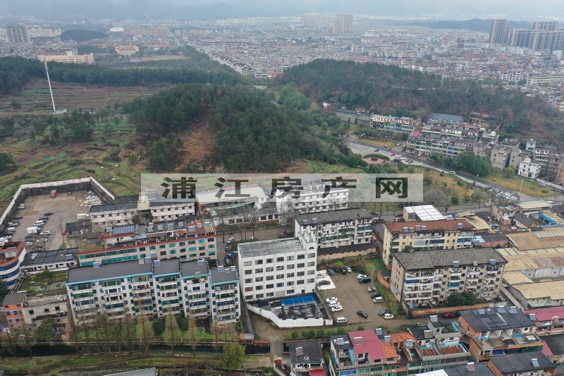 實景圖