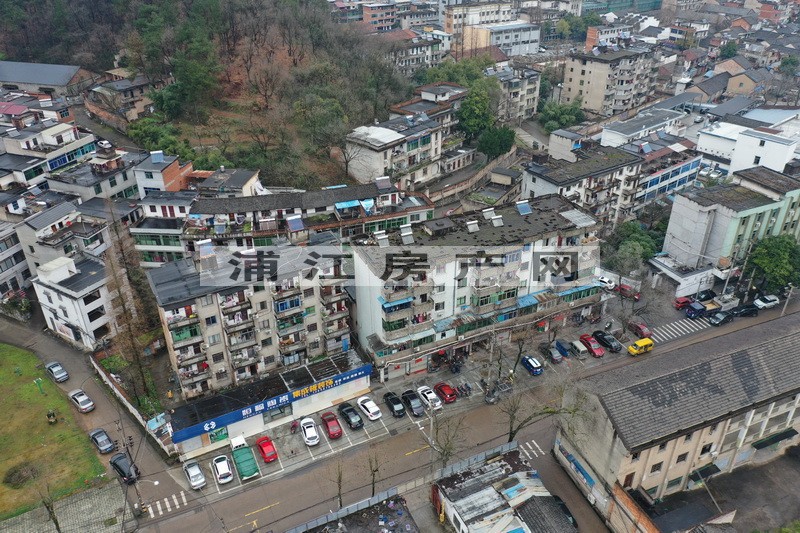 實景圖