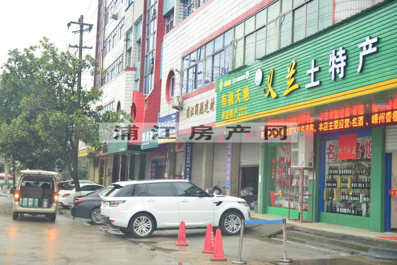 實(shí)景圖
