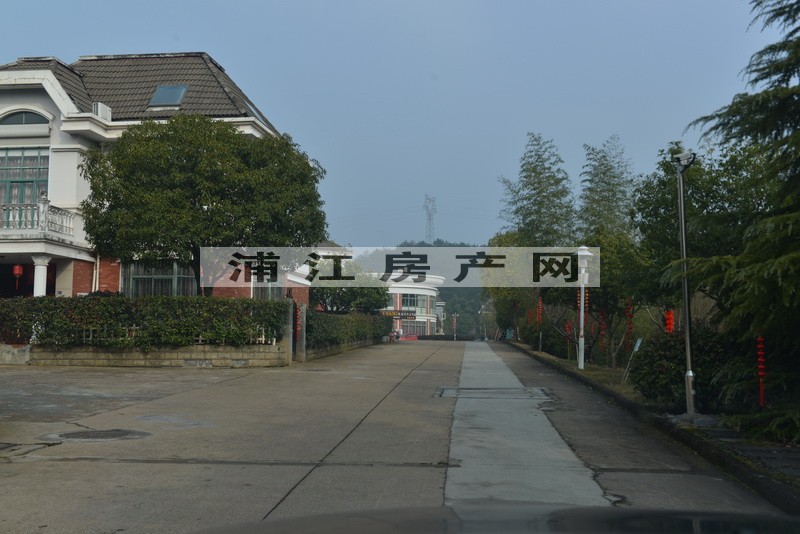 實景圖