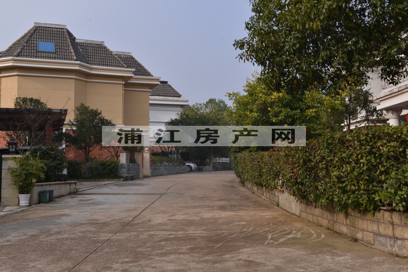 實景圖