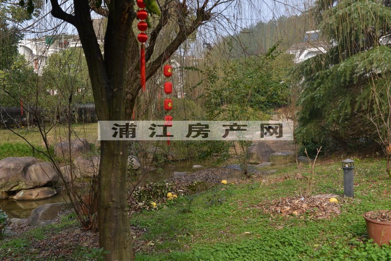 實景圖