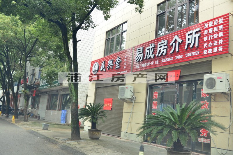 實景圖
