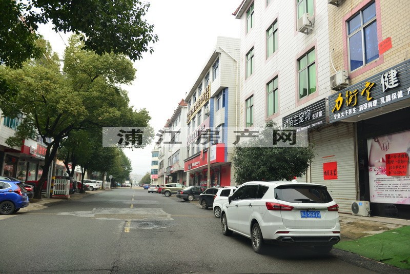 實景圖