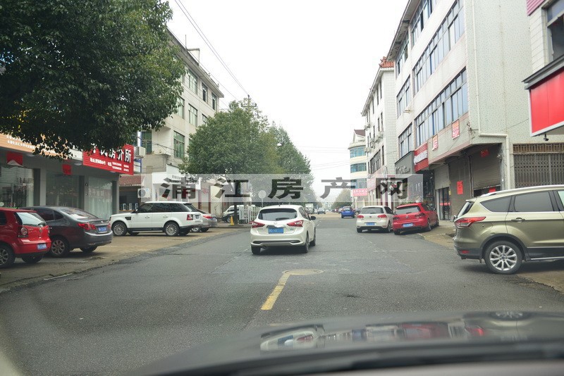 實景圖