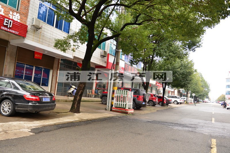 實景圖