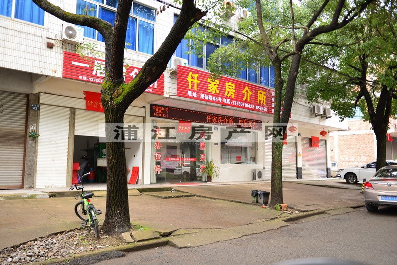 實景圖