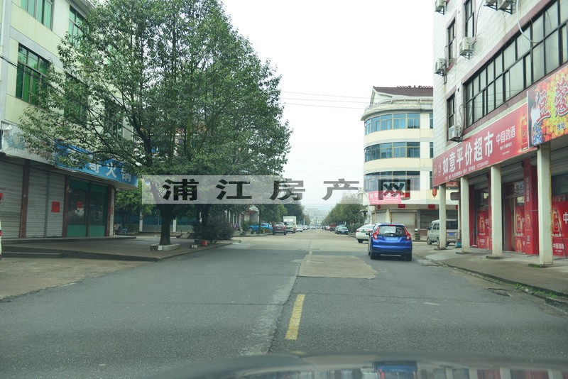 實景圖