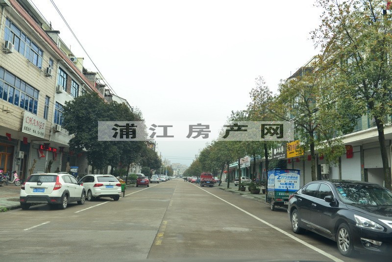 實景圖