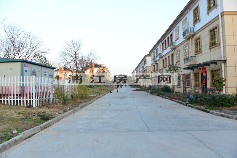 實景圖