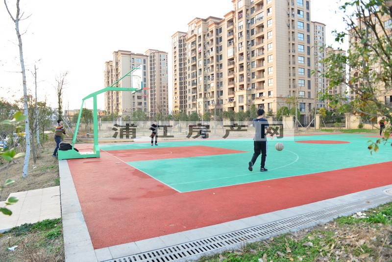 實景圖