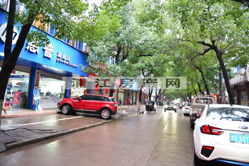 實景圖