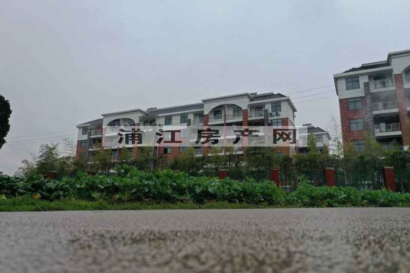 實景圖