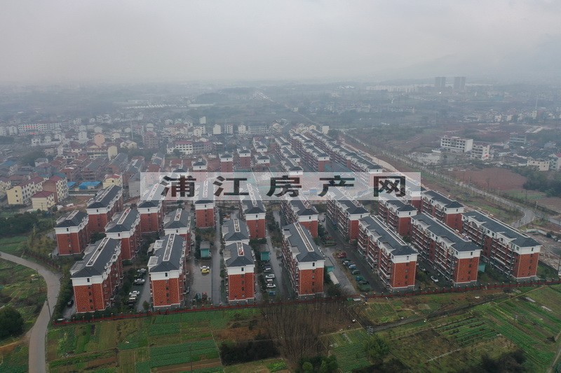 實景圖