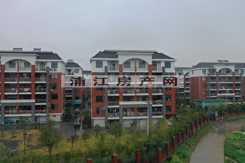 實景圖