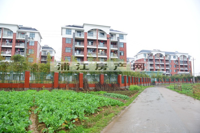 實景圖