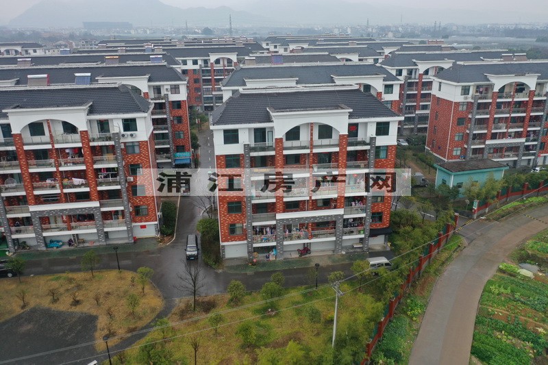 實景圖