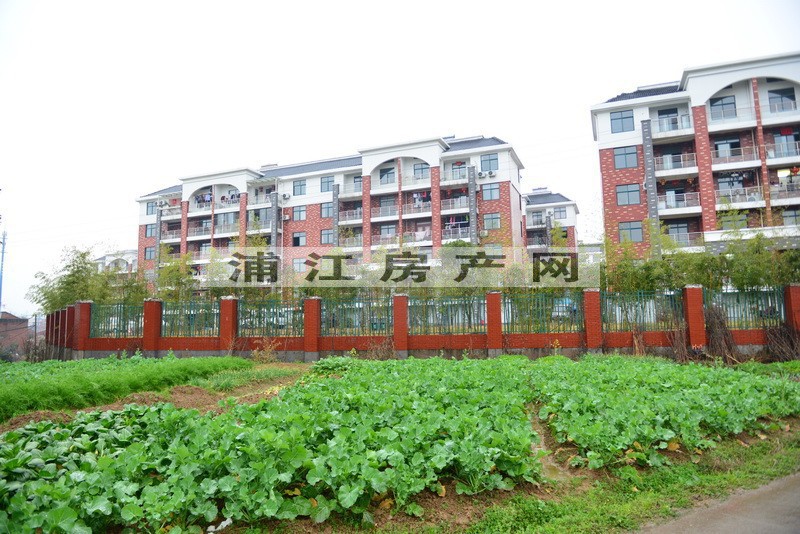 實景圖