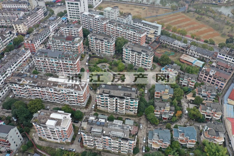 實(shí)景圖