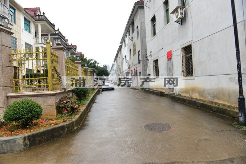實(shí)景圖