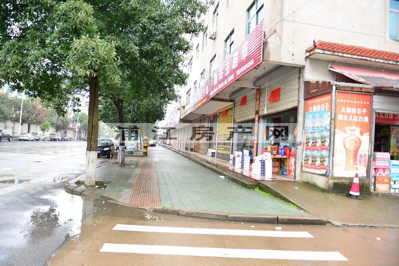 實(shí)景圖