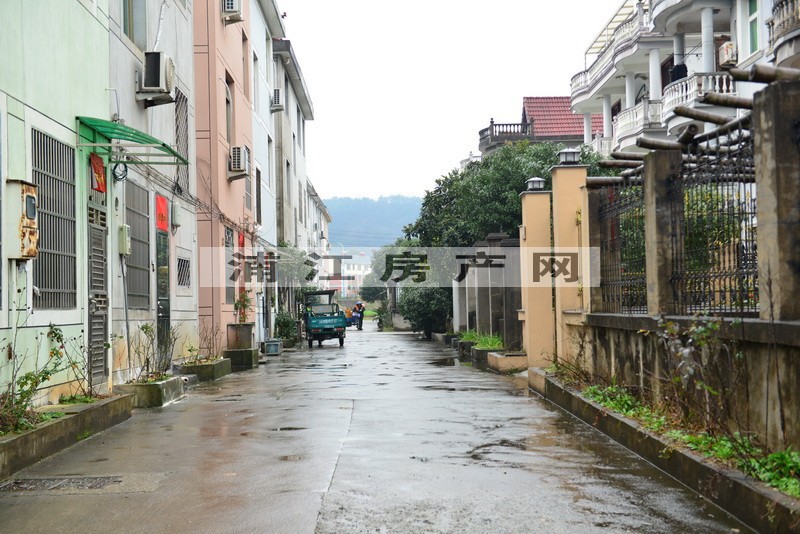 實(shí)景圖